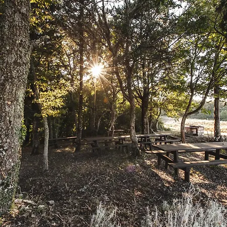 Masseria Del Bosco - Podere Poderuccio Farm stay